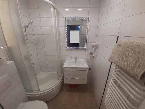a bathroom with a shower toilet and a sink at Gdynia99 in Gdynia