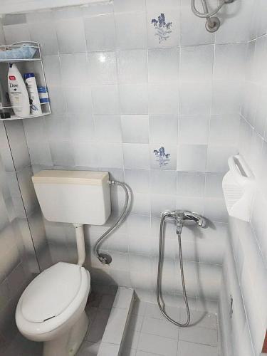 a small bathroom with a toilet and a shower at Maisonette with Garden& Parking Polichrono in Polychrono
