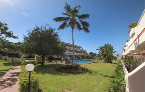 a resort with a swimming pool and a palm tree at Apartamentos Vista Laurisilva in Puerto de la Cruz