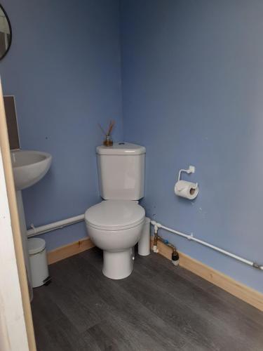 a bathroom with a white toilet and a sink at Croft of Clune Shepherds Hut in Newtonmore