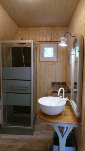 a bathroom with a sink and a glass shower at SARL A Faire à Cheval in Parzac