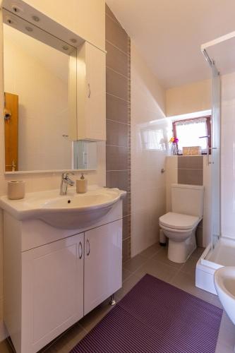 a bathroom with a sink and a toilet and a mirror at Apartment Blašković in Novigrad Dalmatia