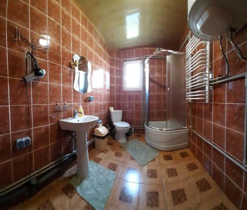 a bathroom with a sink and a shower and a toilet at Cottage Zhelikhovskykh in Tatariv