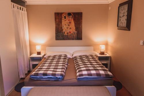 Un pat sau paturi într-o cameră la Apartma Vintgar