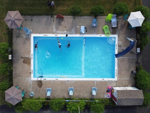 an overhead view of a swimming pool with people playing in it at Falcon Inn in Niagara Falls