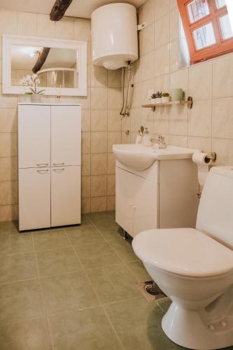 a bathroom with a toilet and a sink at Kuća za odmor Lang in Karlovac