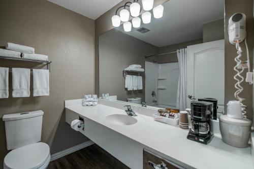 a bathroom with a sink and a toilet and a mirror at Hillside Inn Pagosa in Pagosa Springs