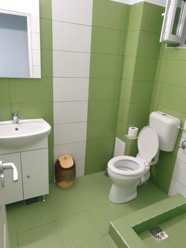 a green and white bathroom with a toilet and sink at Casa Corina in Turda