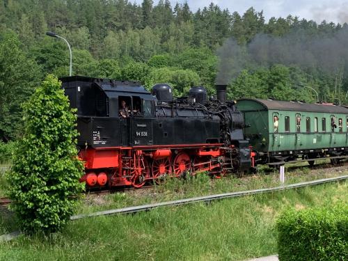 a train traveling down the tracks next to a green train at Apartment "Im Sonneneck" bis 4 Personen mit Parkplatz, W-LAN, Netflix im Thüringer Wald, Schleusingen in Schleusingen
