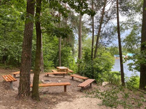 a group of picnic tables in a park near the water at Family & Business Sauna Apartments No 6 Leśny nad Zalewem Cedzyna - 1 Bedroom with Private Sauna, Terrace, Parking, Catering Options in Kielce