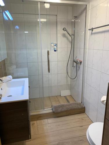 a bathroom with a shower and a sink at Eiger, Jungfrau, luxury garden apartment in Grindelwald