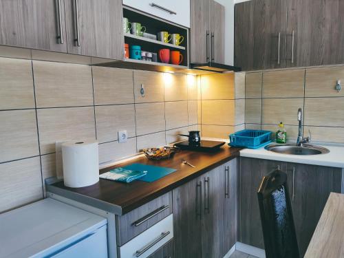 a small kitchen with a counter and a sink at Cozy Corner Apartments - Free parking & Wi-fi in Ćuprija
