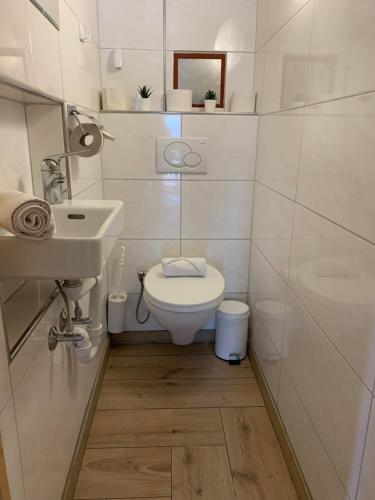 a small bathroom with a toilet and a sink at Eiger, Jungfrau, luxury garden apartment in Grindelwald