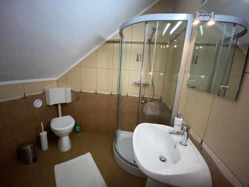 a bathroom with a sink and a toilet and a shower at Casa Edelweiss in Sinaia