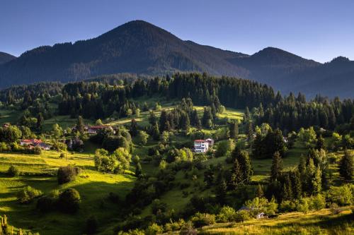 a valley with trees and houses in the mountains at Guest House Panorama in Gela