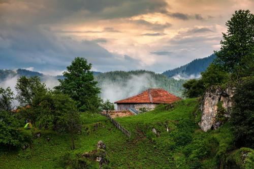 a house on top of a green hill with trees at Guest House Panorama in Gela