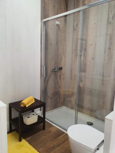 uma casa de banho com um chuveiro, um WC e uma mesa em Palheiro Costa Nova em Costa Nova
