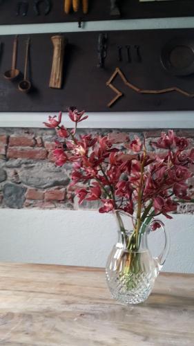 a clear vase with red flowers in it on a table at Langhe di Liguria B&B in Piana Crixia