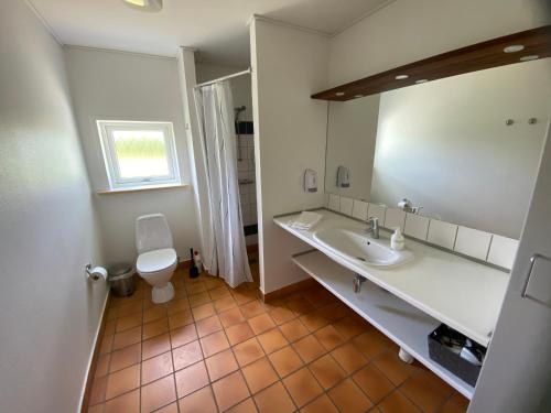 a bathroom with a sink and a toilet at Hjarbæk Fjord Golfcenter in Skals