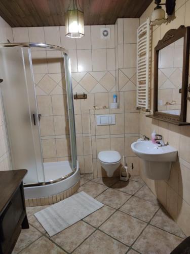 a bathroom with a shower and a toilet and a sink at POKOJE GOŚCINNE MAJKA Apartament Stare jest Piękne in Mrągowo
