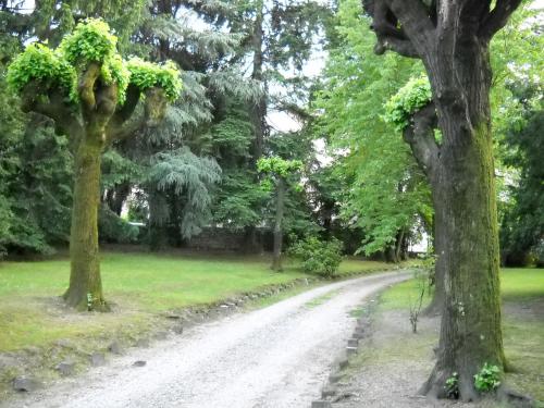Giardino di Edvina s home