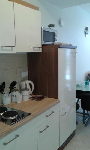 a kitchen with a white refrigerator and a microwave at Apartments Sara in Posedarje