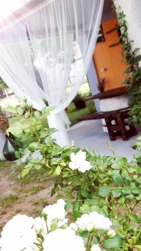 a white curtain and a bush with white flowers at Casa Ortensia in Grions
