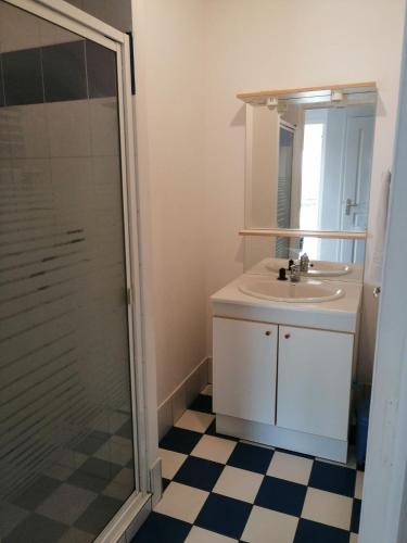 une salle de bain avec un lavabo et une douche dans l'établissement MAISON AU COEUR DE LA PETITE CITE DE CARACTERE, à Malestroit