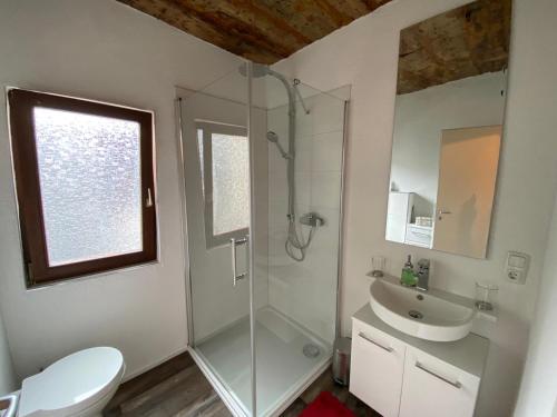 La salle de bains est pourvue d'une douche en verre et d'un lavabo. dans l'établissement Schöne Ferienwohnung Burgruine Fachwerkhaus, à Bacharach