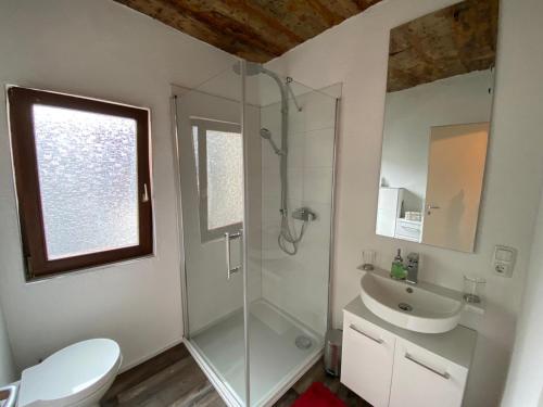 a bathroom with a glass shower and a sink at Schöne Ferienwohnung Burgruine Fachwerkhaus in Bacharach