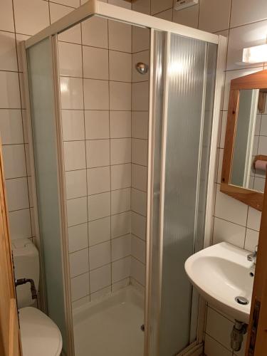 La petite salle de bains est pourvue d'une douche et d'un lavabo. dans l'établissement Chalet l'Atelier, à Morzine