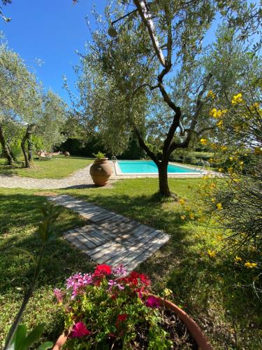 um jardim com um caminho que leva a uma piscina em Agriturismo Macinello em Montefiridolfi