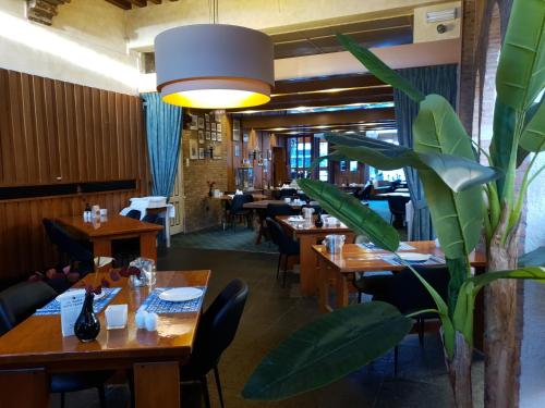 un restaurante con mesas y sillas de madera y una planta en Fletcher Hotel De Zalm en Brielle