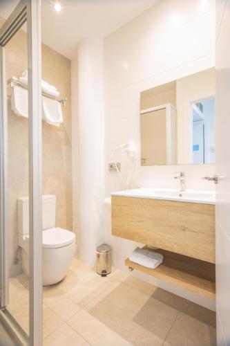 a bathroom with a toilet and a sink and a mirror at Pensión Riberas del Urumea in Donostia-San Sebastián