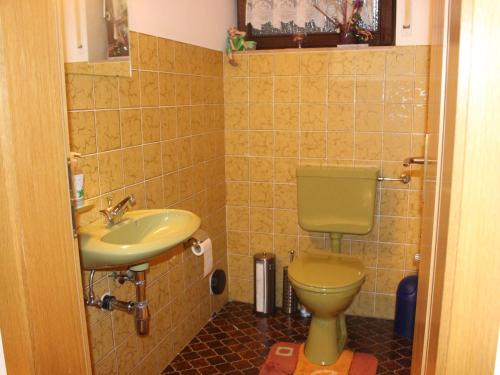 uma casa de banho com um WC verde e um lavatório em Ferienwohnung Haus Wannenberg em Tengen