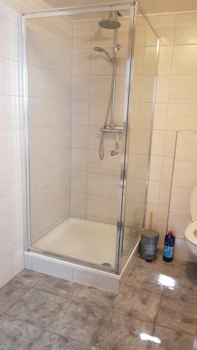 een douchecabine in een badkamer met een toilet bij Gemütliche wohnung in Bühl