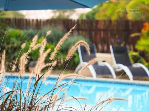 a swimming pool with chairs and a table and grass at Fever Tree Guesthouse in Hillcrest