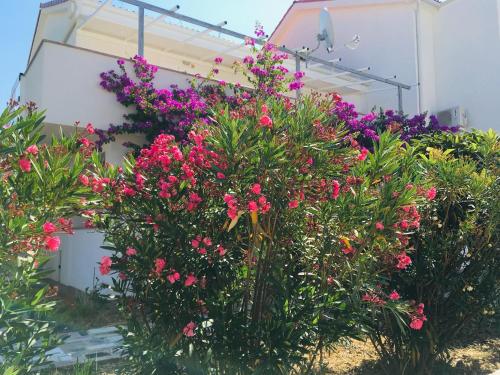 NOVALJA APARTMENTS by NENA