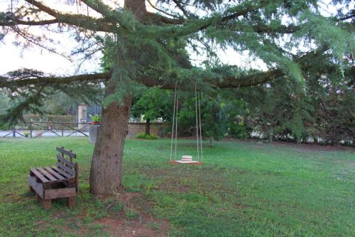 a park bench sitting next to a tree with a swing at A Casa di Amici in Tuscania