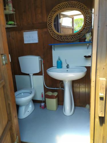 een badkamer met een toilet, een wastafel en een spiegel bij LA VOLPE DI AGROPOLI in Agropoli