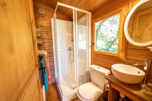 La salle de bains est pourvue d'une douche, de toilettes et d'un lavabo. dans l'établissement Domaine Les Perpetus, à La Tour-dʼAigues