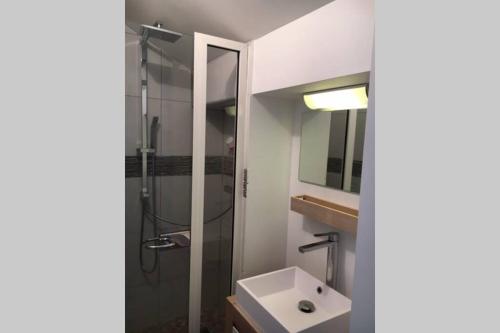 een badkamer met een douche en een witte wastafel bij Gîte de chenieux in Saint-Victor-sur-Loire