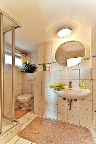 a bathroom with a sink and a toilet and a mirror at Pension Maria in Hauzenberg