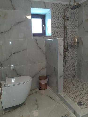 a bathroom with a toilet and a shower and a window at Paliokaliva Home in Roussopoúlion