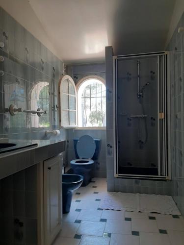 La salle de bains est pourvue d'une douche et de toilettes bleues. dans l'établissement Villa avec grande piscine plage et port de Sanary à pieds, à Six-Fours-les-Plages