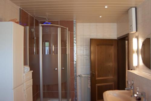 baño con ducha y puerta de cristal en Ferienwohnungen Arnold, en Boppard