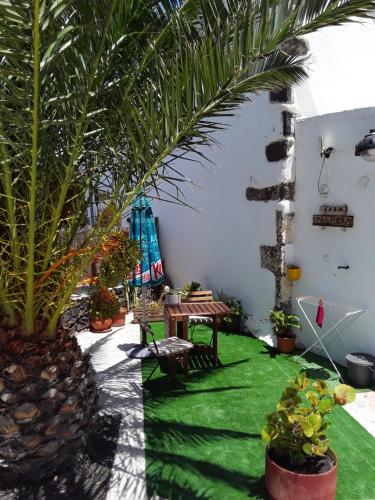 Κήπος έξω από το Palmera y Dátil