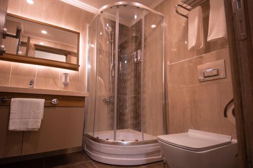 a bathroom with a shower and a toilet at Hotel Kale 17 in Çanakkale