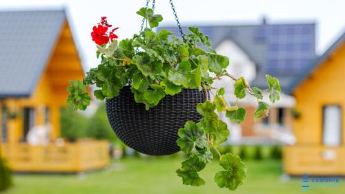 a hanging flower pot with a red flower in it at Łebskie Chatki in Łeba