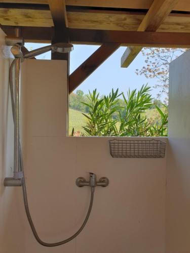 ソルフェリーノにあるAgriturismo Cascina Le Volpiの窓付きのバスルーム(シャワー付)